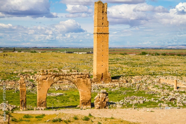Obraz World's first university, Harran University. The remainings of the university is located in Sanliurfa, Turkey. The shot was taken cloudy day. tower and some gates are still visible.