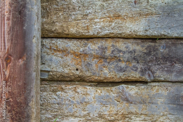 Obraz Part of a fence with vertical planks on the left. Wood details are clearly visible. Nice degraded colors.