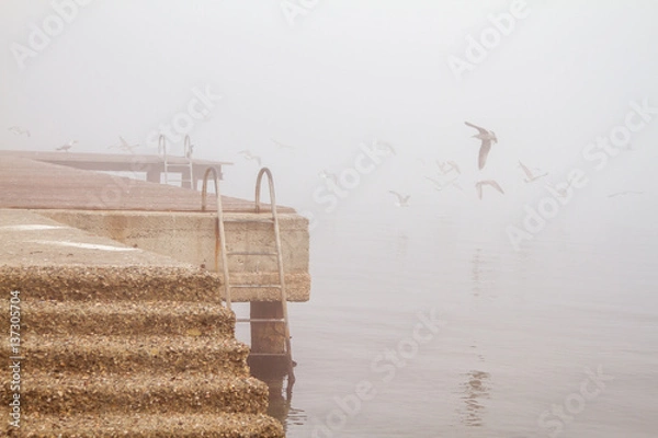 Obraz A concreate pier, old rusty stairs and seagulls in foggy day