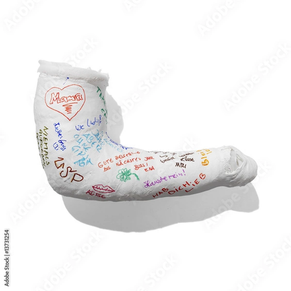 Obraz snow_gibs_ 0001