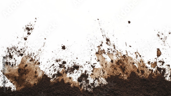 Fototapeta Realistic Soil Splatter and Dirt Texture on Transparent Background – Isolated Earthy Element for Design, Gardening, or Agricultural Projects