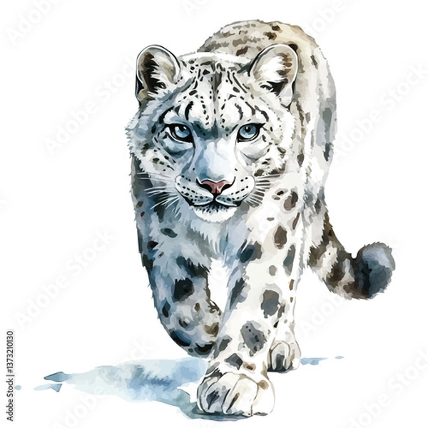 Fototapeta A watercolor vector of a snow leopard, isolated on a white background. Snow leopard vector.

