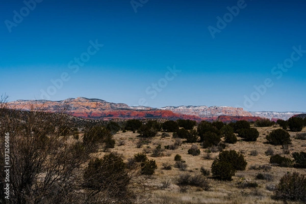 Obraz desert and snowy mountain landscape with blue sky