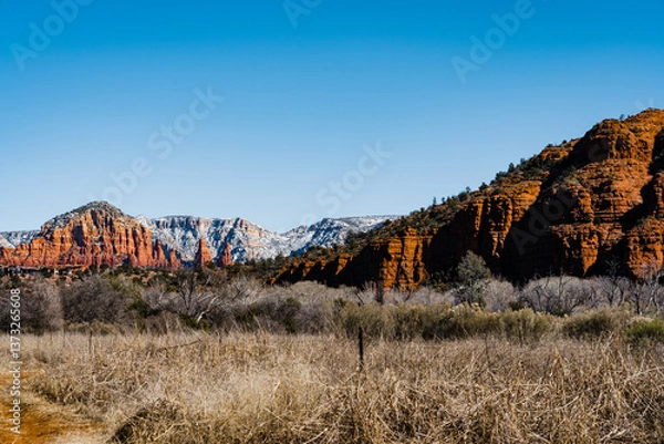 Fototapeta winter desert with red rocks and snow in background