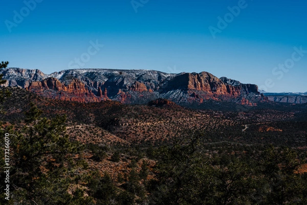 Fototapeta sun hitting red rocks with snow in the desert with trees in foreground