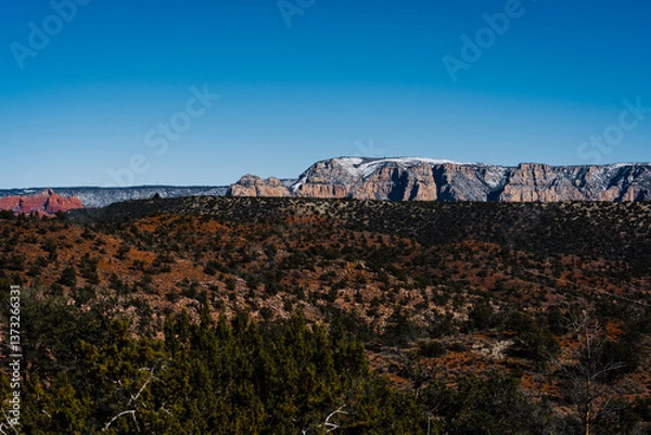 Obraz sun hitting red rocks with snow in the desert with trees in foreground