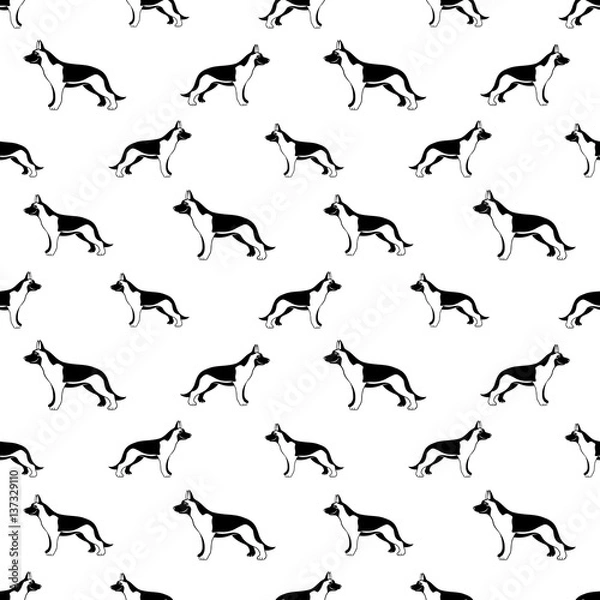 Fototapeta German shepherd seamless background.