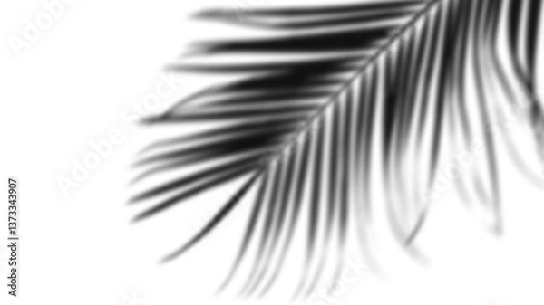 Fototapeta window shadow