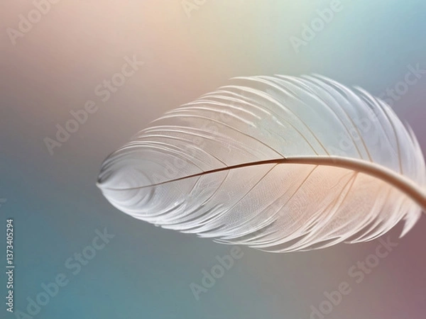 Fototapeta feather on a pastel blurred background, feather background