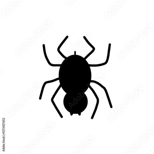 Obraz spider isolated on white background