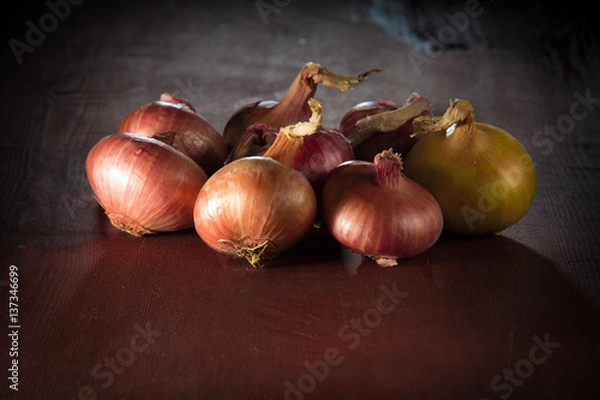 Obraz onions on the table