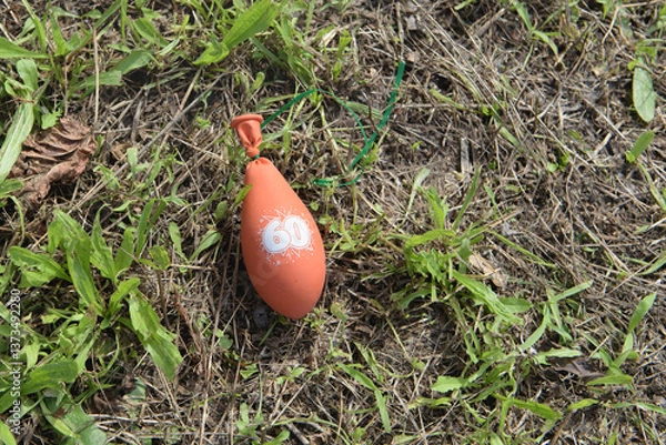 Obraz Party debris on the lawn