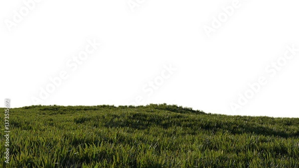 Fototapeta green grass landscape horizon 3d png hill high quality rendering background wallpaper illustration	

