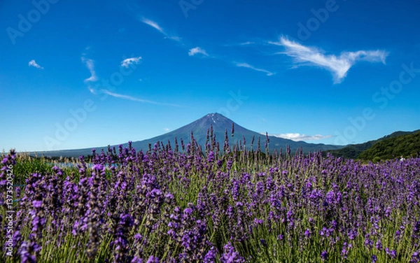 Fototapeta 富士山