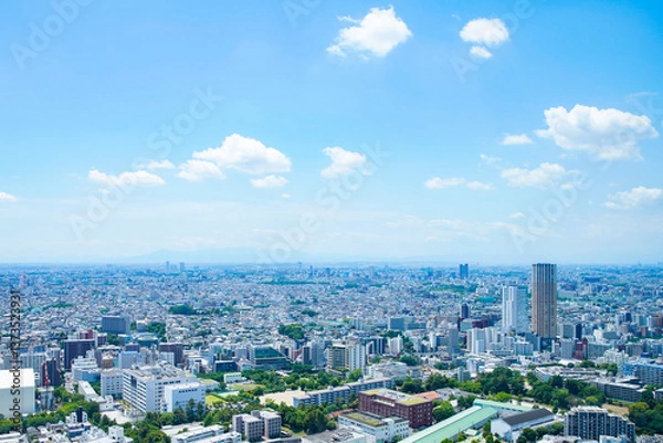 Fototapeta 東京市街地（画面右は中目黒）