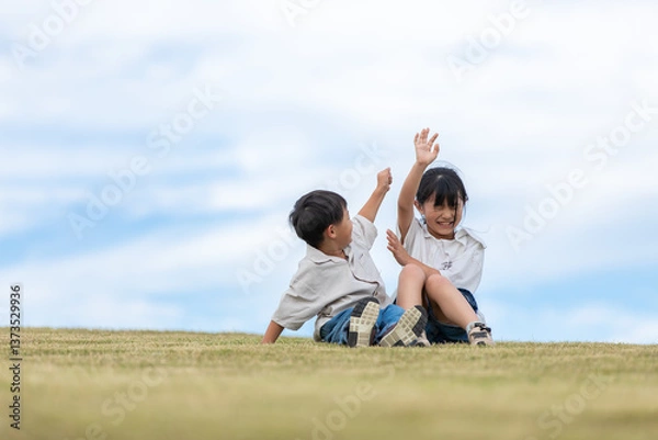 Fototapeta 草原で戯れ合う子供