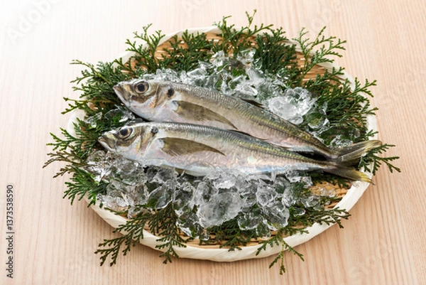 Fototapeta 真あじ