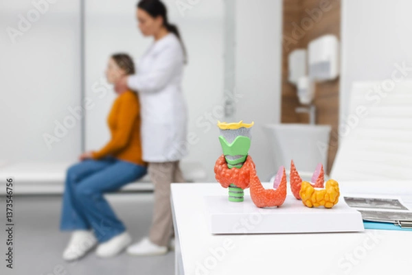Fototapeta Anatomical model of thyroid gland on doctor's table, close-up. Endocrinologist consulting a patient with endocrinological disease