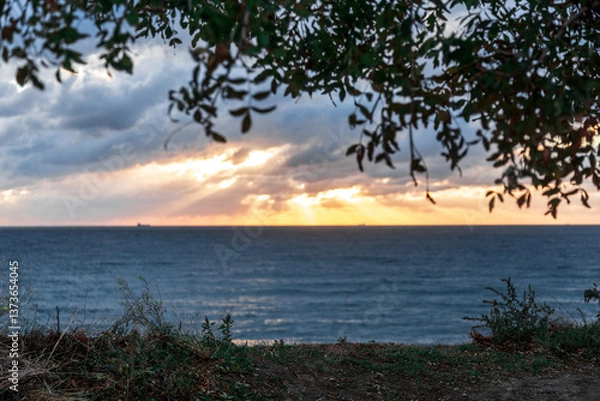 Obraz Gelendzhik resort. A beautiful sunset over the ocean with a tree in the background. The sky is filled with clouds and the sun is setting, creating a warm and peaceful atmosphere