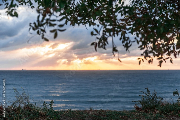 Obraz Gelendzhik resort. A beautiful sunset over the ocean with a tree in the background. The sky is filled with clouds and the sun is setting, creating a warm and peaceful atmosphere