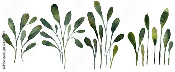 Fototapeta Set of watercolor collection design elements leaves, green branches, botanical illustration isolated on transparent background	