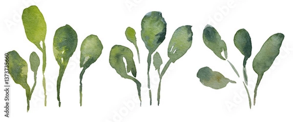 Fototapeta Set of watercolor collection design elements leaves, green branches, botanical illustration isolated on transparent background	