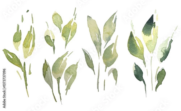 Obraz Set of watercolor collection design elements leaves, green branches, botanical illustration isolated on transparent background	