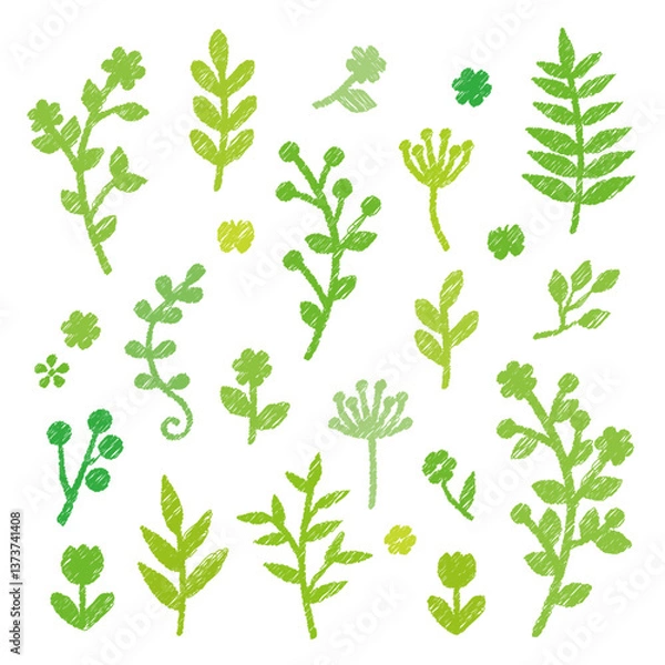 Fototapeta グリーン　ナチュラル　草花のアイコン　手描き風