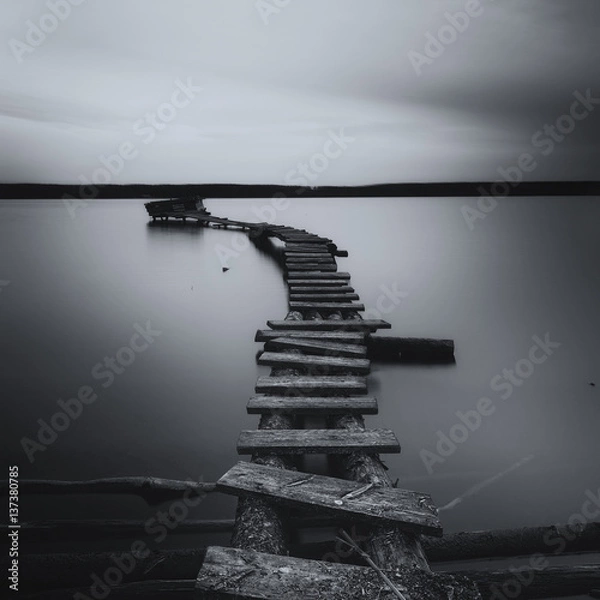 Obraz Bridge on the lake black and white