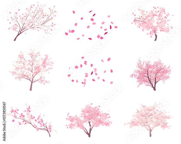 Obraz Cherry tree flowering illustration