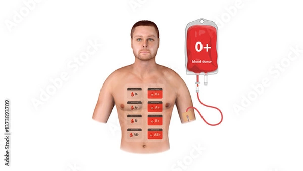 Obraz A 3D infographic visualizing O Positive blood donation, transfusion process, and compatibility with recipients in medical settings