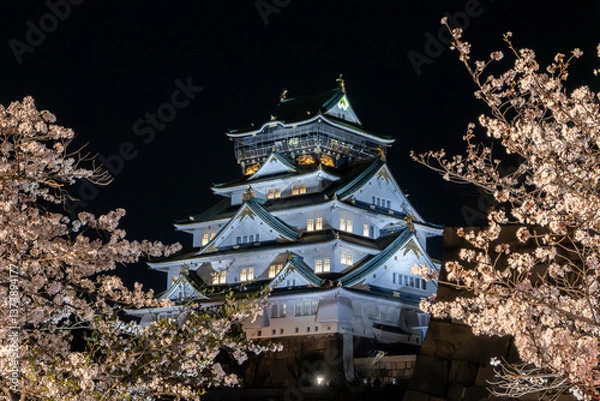Fototapeta Osaka Castle glows under the twilight sky. Surrounding cherry blossoms illuminate the scene, creating a breathtaking spectacle of Japanese history and natures beauty.