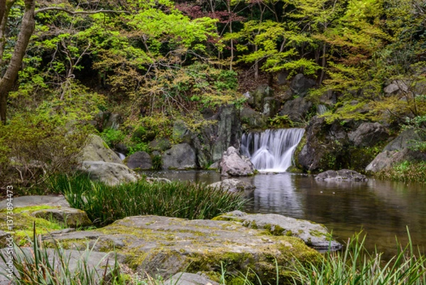 Fototapeta A tranquil waterfall cascades down moss covered rocks into a serene pond. Part of Osaka's Expo 70 Commemorative Park, showcasing Japanese garden design.
