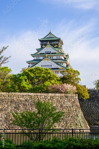 Fototapeta Osaka Castle, a symbol of Japan, showcases Edo period architecture. Its white walls and green roofs stand against a vibrant blue sky, surrounded by blossoming trees. 