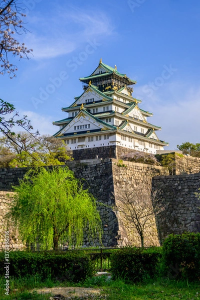 Fototapeta Osaka Castle, a symbol of Japan, showcases Edo period architecture. Its white walls and green roofs stand against a vibrant blue sky, surrounded by blossoming trees. 