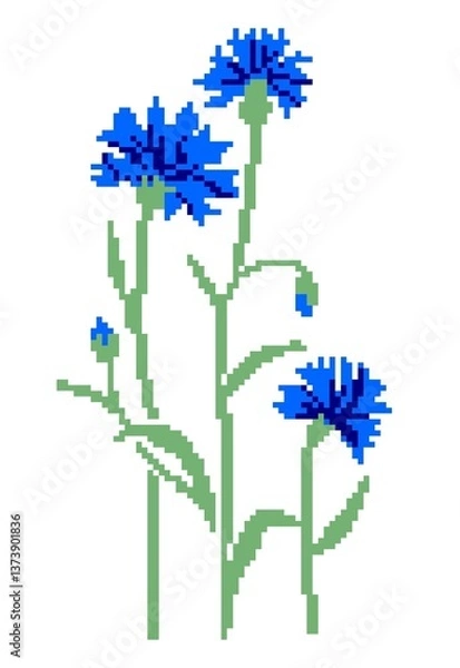 Obraz A bouquet of three wildflowers of cornflowers highlighted on a white background. Pixel art.pattern for knitting, embroidery and children's creativity
