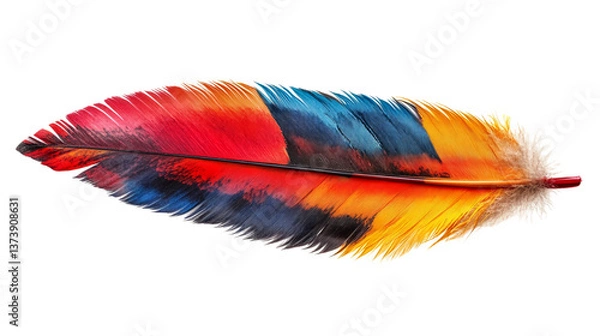 Obraz Colorful feather on a transparent background. The colors range from red and orange to blue and yellow.