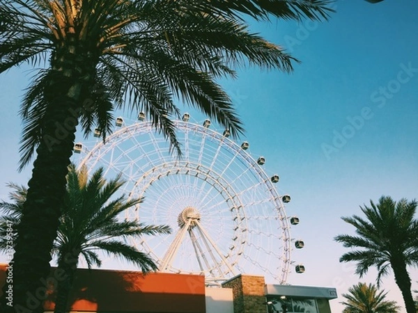 Obraz Ferris Wheel