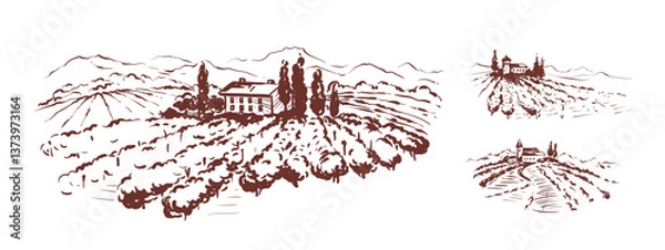 Fototapeta Abstract landscape with vineyard. Set vector design elements for label with italian landscape, graphic style, hand drawn author's drawing