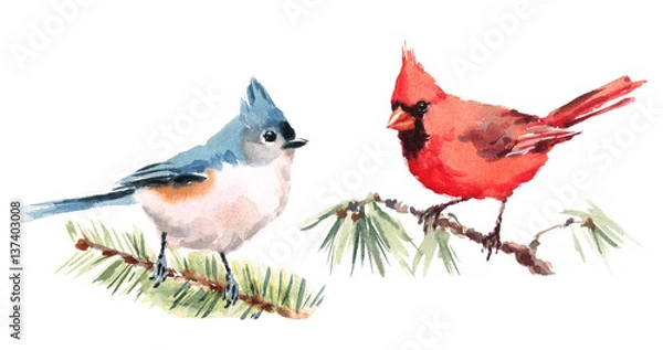 Fototapeta Northern Cardinal and Titmouse Two Birds Watercolor Hand Painted Illustration Set isolated on white background