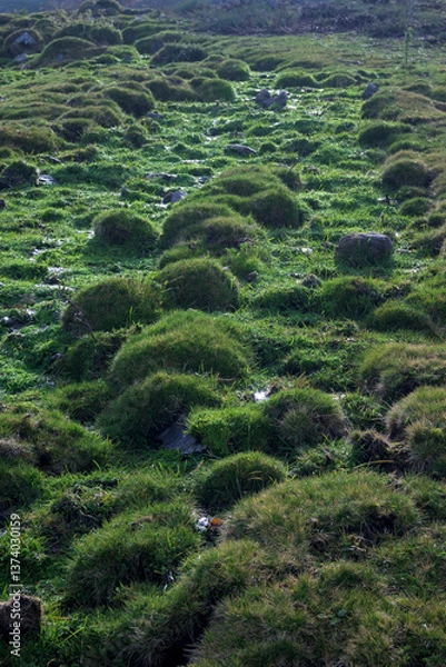 Fototapeta Groundwater spring in a very green mountain area due to humidity