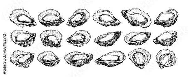 Fototapeta Seafood oysters engraving vector set. Fresh shell bivalves clams mussels ocean mollusks luxury marine restaurant food, sketch black hand drawn monochrome isolated vectors on white