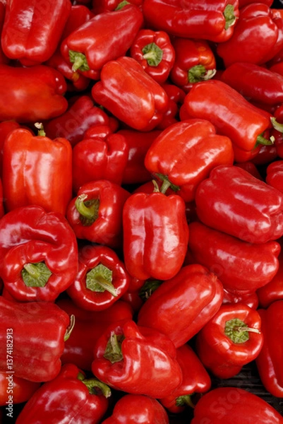 Fototapeta A bunch of red peppers. Red bell peppers on the counter in the supermarket. A large amount of red pepper in a heap