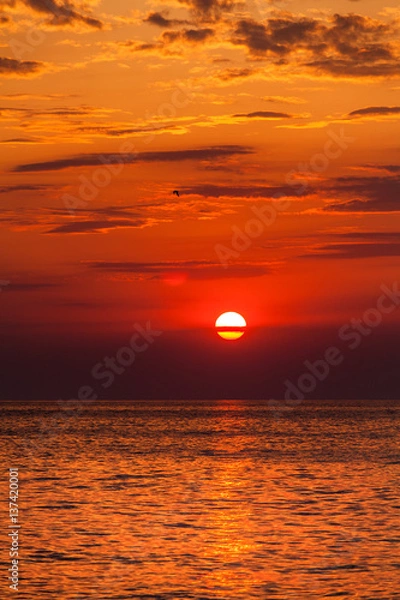 Obraz red sunset over water