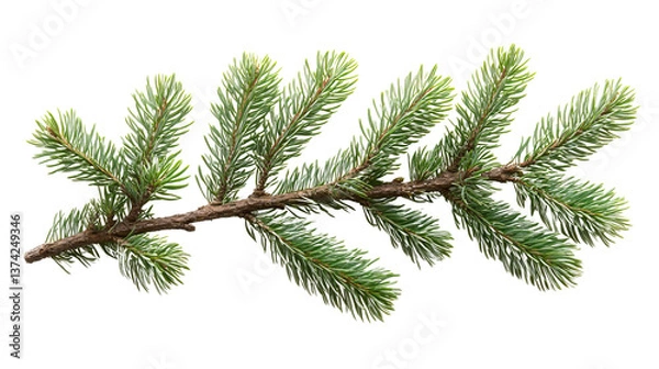 Fototapeta Evergreen Sprig Close-Up: A close-up captures the delicate beauty of a fresh, evergreen sprig with vibrant green needles against a simple backdrop.