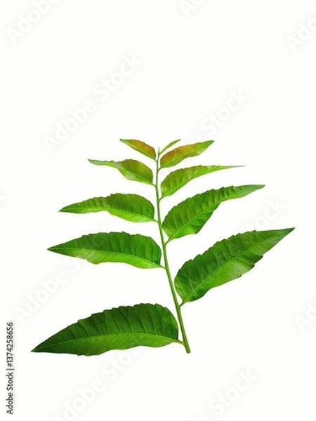 Obraz "Gentle nature makes you feel comfortable."