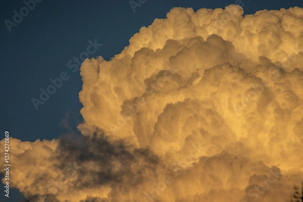 Obraz Golden clouds 2