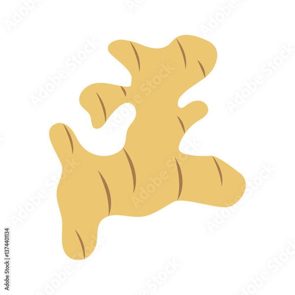 Obraz Illustration of a piece of ginger root, representing a spice used as an ingredient in cooking, a healthy addition to the diet, fresh produce, and its use in herbal medicine and flavoring
