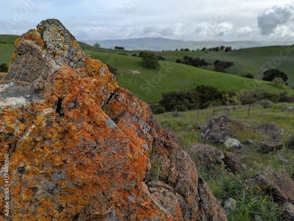 Obraz big rock covered in orange lichen on a cloudy day