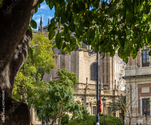 Fototapeta Vieww of part of the cathedral in Seville through vegetation.